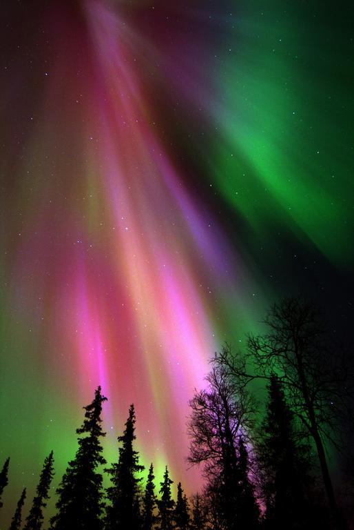 Lapland Northern Lights Hotel Ilveslinna Ranua Exterior foto