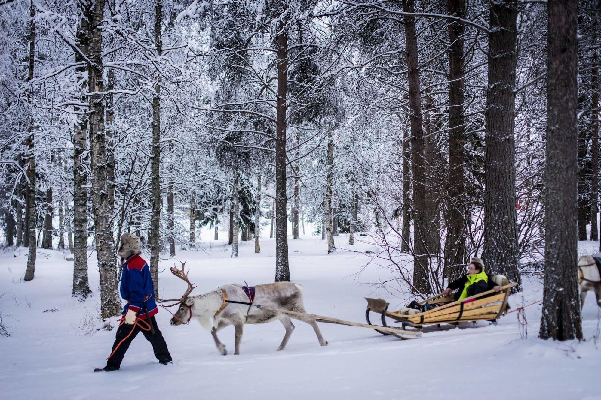 Lapland Northern Lights Hotel Ilveslinna Ranua Exterior foto